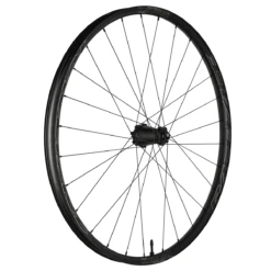 Race Face Turbine R 30 29 Inch Achterwiel 15x100 Mm - Zwart